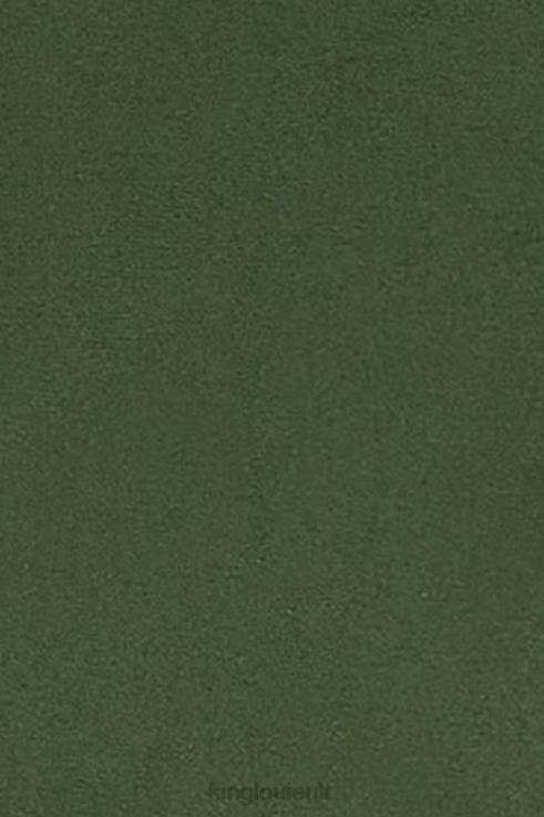 Accessories GB King Louie Women Tights Solid Thyme Green 2JFL6194